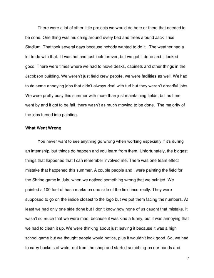 career goals essay for internship internship summary essay